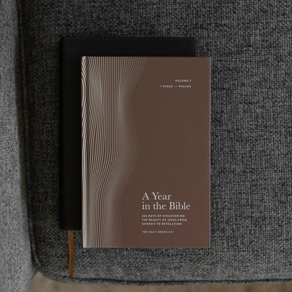 A Year in the Bible – Men’s Study Volume 2