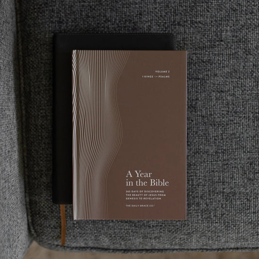 A Year in the Bible – Men’s Study Volume 2