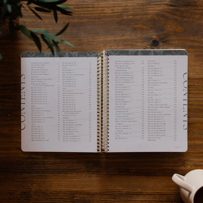 A Year in the Bible – Volume 4