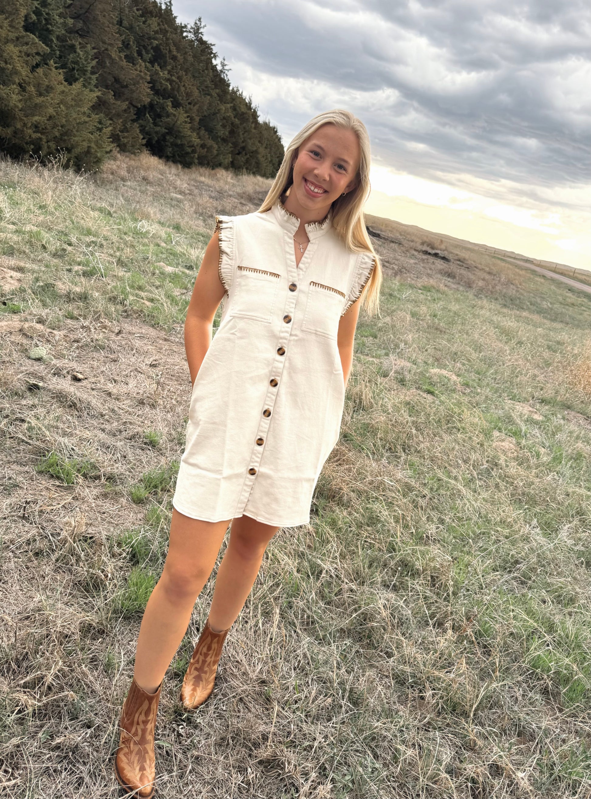 Denim Mini Dress – The Horned Rose