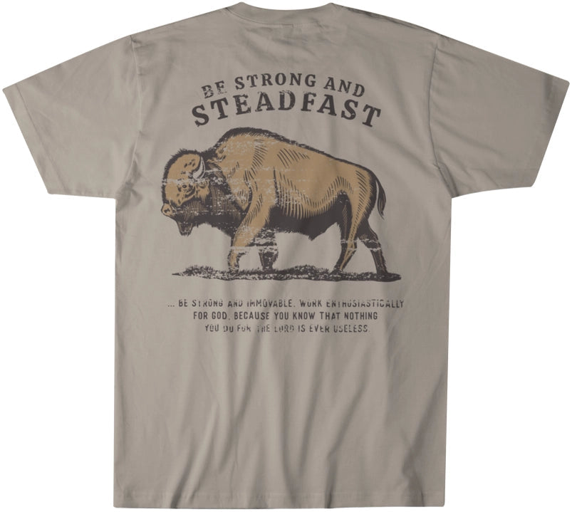 Be Strong and Steadfast Tee - Men's