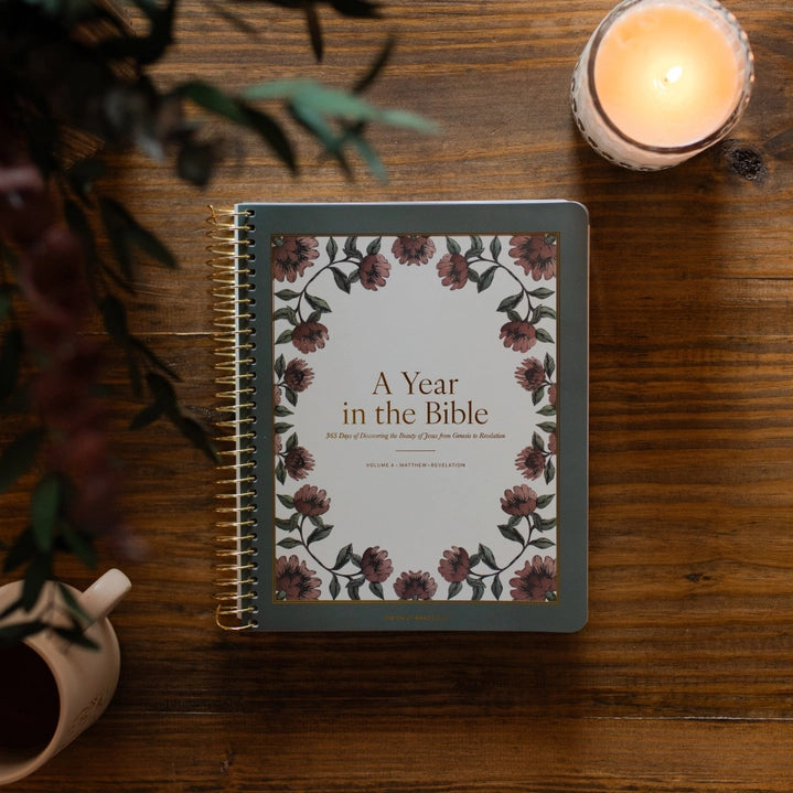 A Year in the Bible – Volume 4
